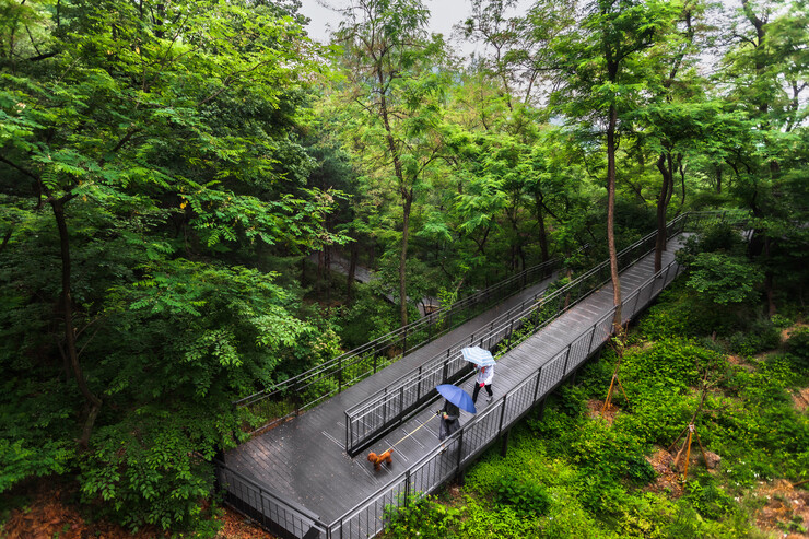 [로컬거버넌스] 서울 중구, ‘남산자락숲길’ 개통 1주년