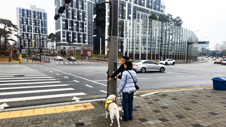 원창희 강동구의원, 음향신호기 설치 ...