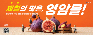 260521-260620-영암군청-배너-909091